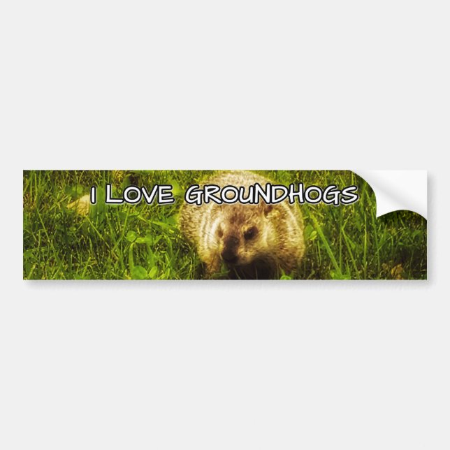 I love groundhogs bumper sticker (Front)