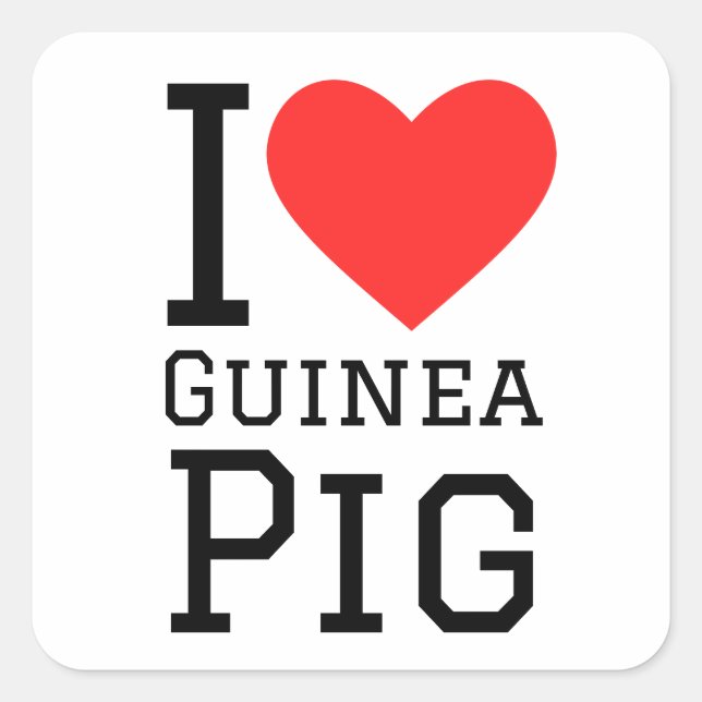 I love Guinea pig Square Sticker (Front)