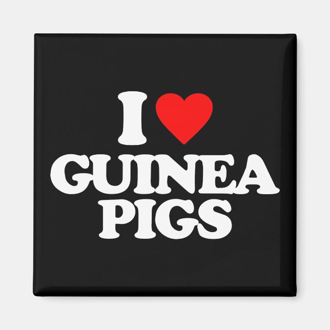 I LOVE GUINEA PIGS MAGNET (Front)