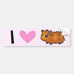 I Love Guinea Pigs (scruffy) Bumper Sticker