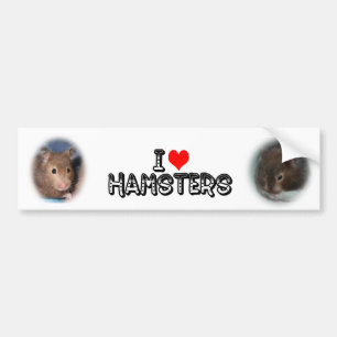 I love Hamsters Bumper Sticker