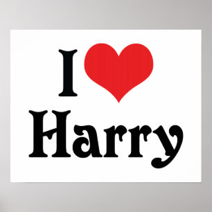 I Love Harry Poster