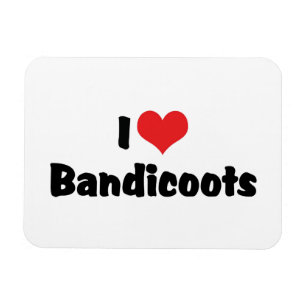 I Love Heart Bandicoots Magnet