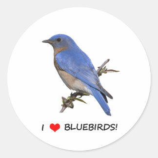I Love (heart) Bluebirds Classic Round Sticker