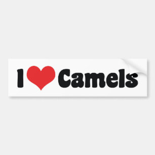 I Love Heart Camels Bumper Sticker