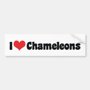 I Love Heart Chameleons - Lizard Lover Bumper Sticker
