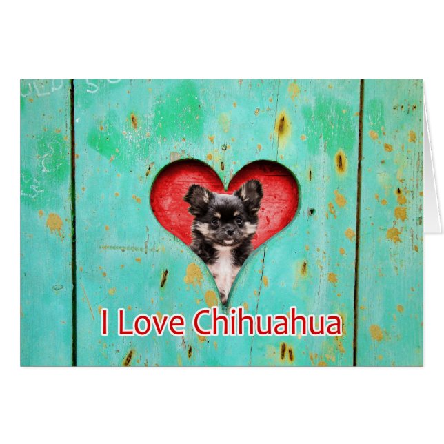 I Love Heart Chihuahua Dog (Front Horizontal)