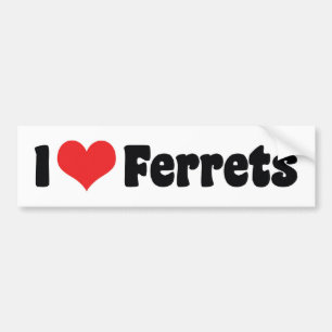 I Love Heart Ferrets - Ferret Lover Bumper Sticker