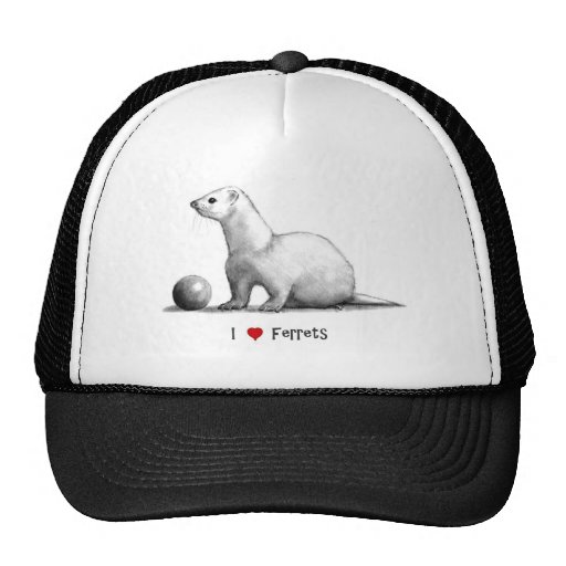 I Love (Heart) Ferrets: Pencil Drawing Trucker Hat | Zazzle