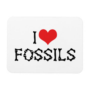 I Love Heart Fossils - Paleontology Fossil Hunter Magnet