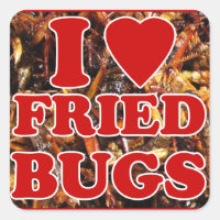 I Love (Heart) Fried Bugs / Edible Insects