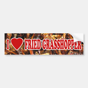 I Love (Heart) Fried Grasshopper Bumper Sticker