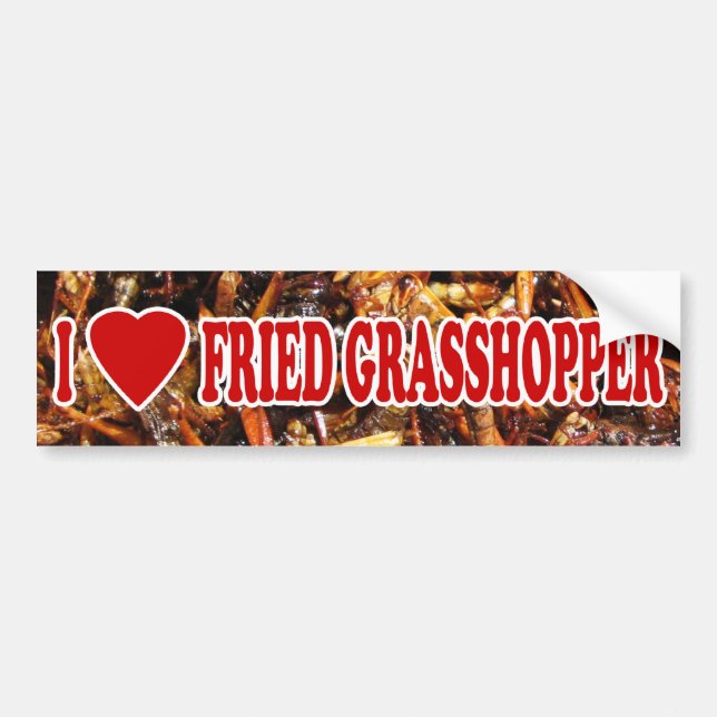 I Love (Heart) Fried Grasshopper Bumper Sticker (Front)