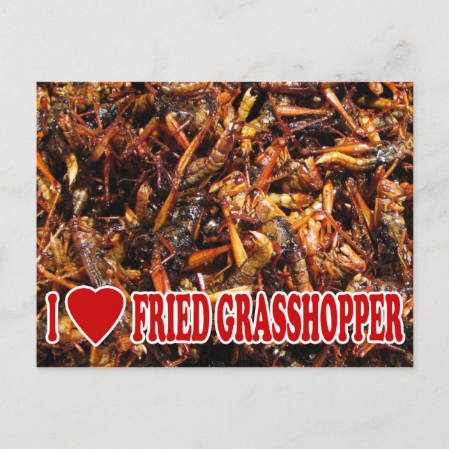 I Love (Heart) Fried Grasshopper Postcard (Front)