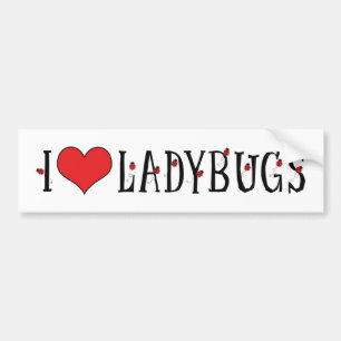 I Love Heart Ladybugs - Ladybug Lovers Bumper Sticker