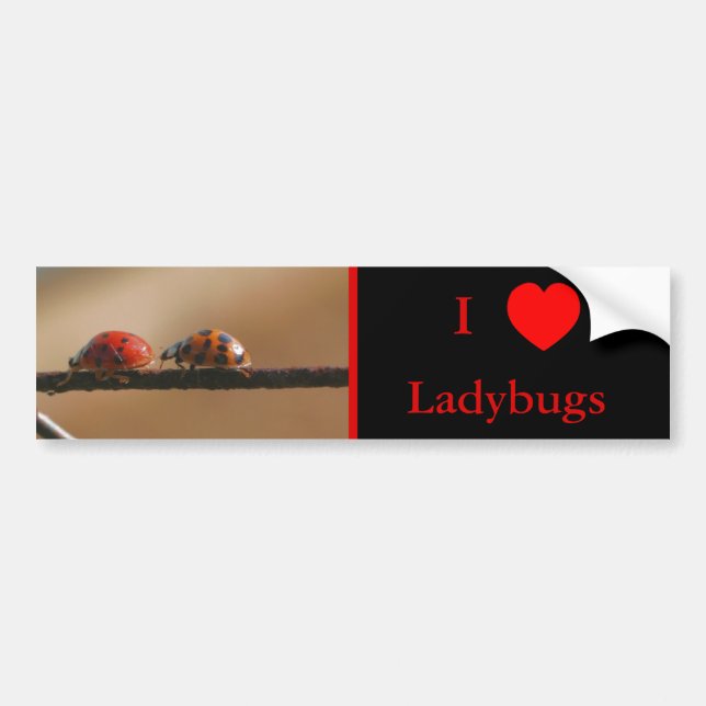 I Love Heart Ladybugs Nature 2 Bumper Sticker (Front)
