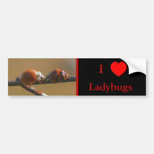 I Love Heart Ladybugs Nature 3 Bumper Sticker