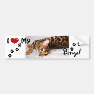 I love (heart) my Bengal Bumper Sticker