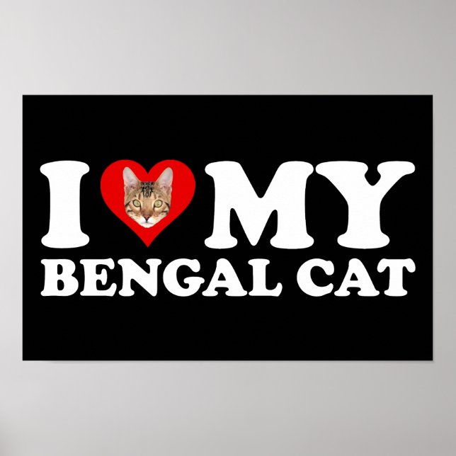 I Love (Heart) My Bengal Cat Poster (Front)