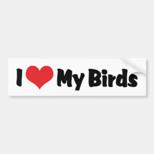 I Love Heart My Birds - Bird Lover Bumper Sticker