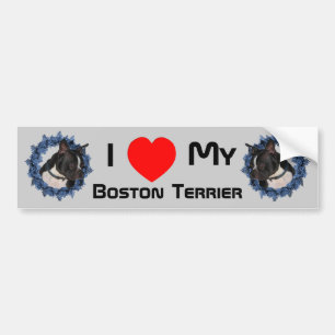I Love Heart My Boston Terrier Bumper Sticker
