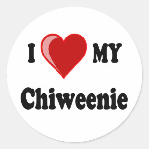 I Love (Heart) My Chiweenie Dog Classic Round Sticker
