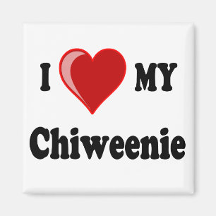 I Love (Heart) My Chiweenie Dog Magnet
