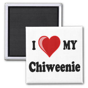 I Love (Heart) My Chiweenie Dog Magnet