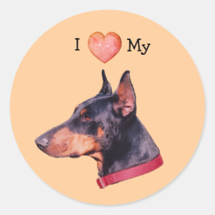 I Love Heart My Doberman Dog  Classic Round Sticker