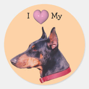 I Love Heart My Doberman Dog Sticker