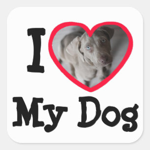 I Love (heart) My Dog Personalised Photo Stickers