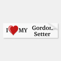 I Love (Heart) My Gordon Setter Dog