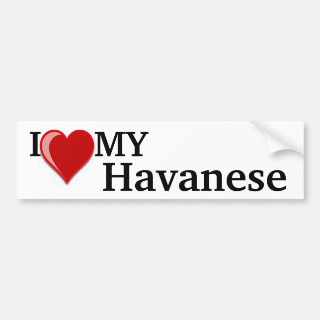 I Love (Heart) My Havanese Dog Bumper Sticker (Front)