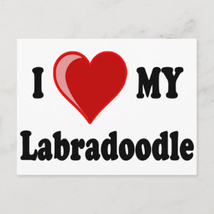 I Love (Heart) My Labradoodle Dog Postcard