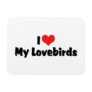 I Love Heart My Lovebirds - Bird Lover Magnet