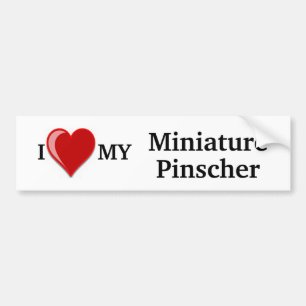 I Love (Heart) My Miniature Pinscher Dog Bumper Sticker