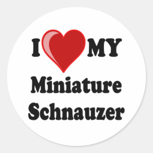 I Love (Heart) My Miniature Schnauzer Dog Classic Round Sticker