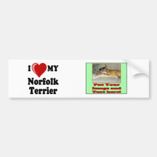 I Love (Heart) My Norfolk Terrier Dog Bumper Sticker