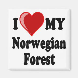 I Love (Heart) My Norwegian Forest Cat Magnet