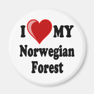 I Love (Heart) My Norwegian Forest Cat Magnet