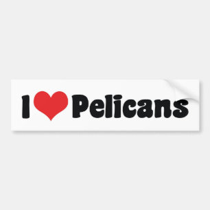 I Love Heart Pelicans - Pelican Lover Bumper Sticker