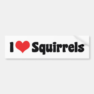 I Love Heart Squirrels - Squirrel Lover Bumper Sticker