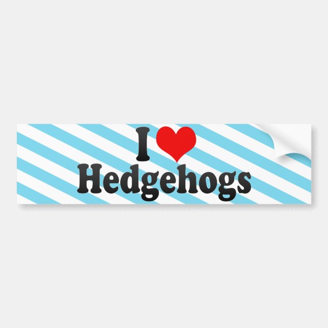 I Love Hedgehogs Bumper Sticker (Front)