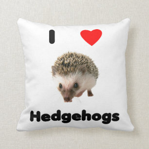 I love hedgehogs cushion