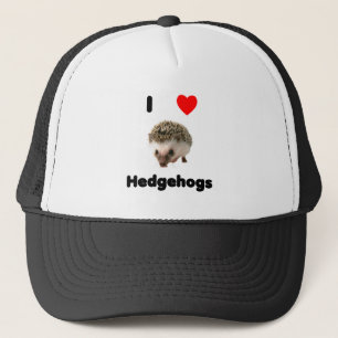 I love hedgehogs Hat