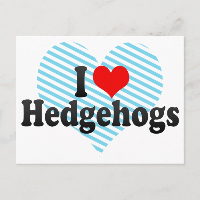 I Love Hedgehogs Postcard (Front)