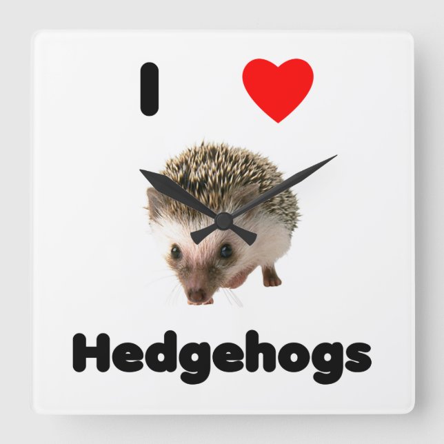 I love hedgehogs square wall clock (Front)
