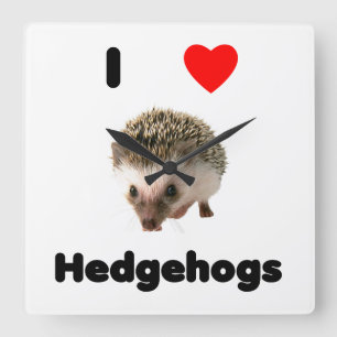I love hedgehogs square wall clock