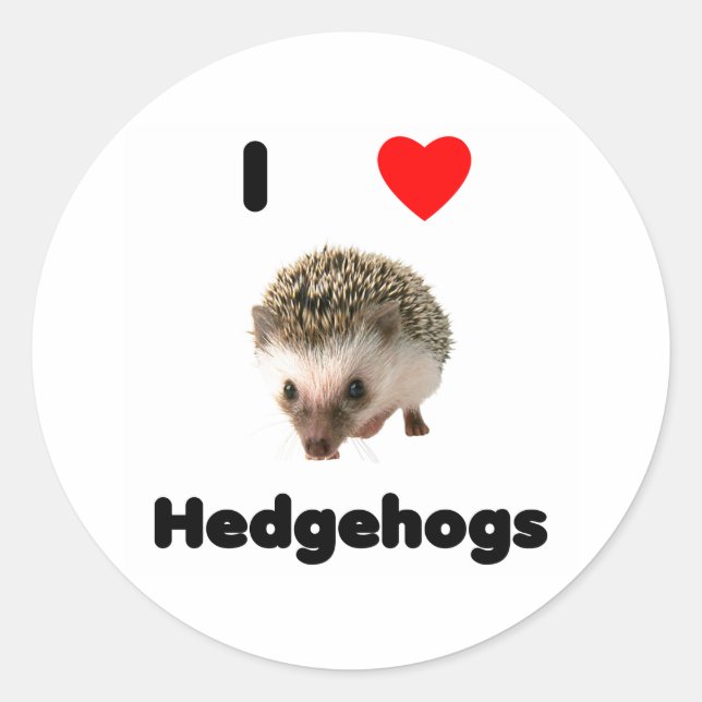 I love hedgehogs Sticker (Front)