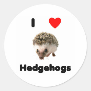 I love hedgehogs Sticker